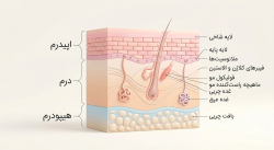 علمِ پوست